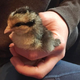 Squeeeee! (Photo: Kate Bernot)